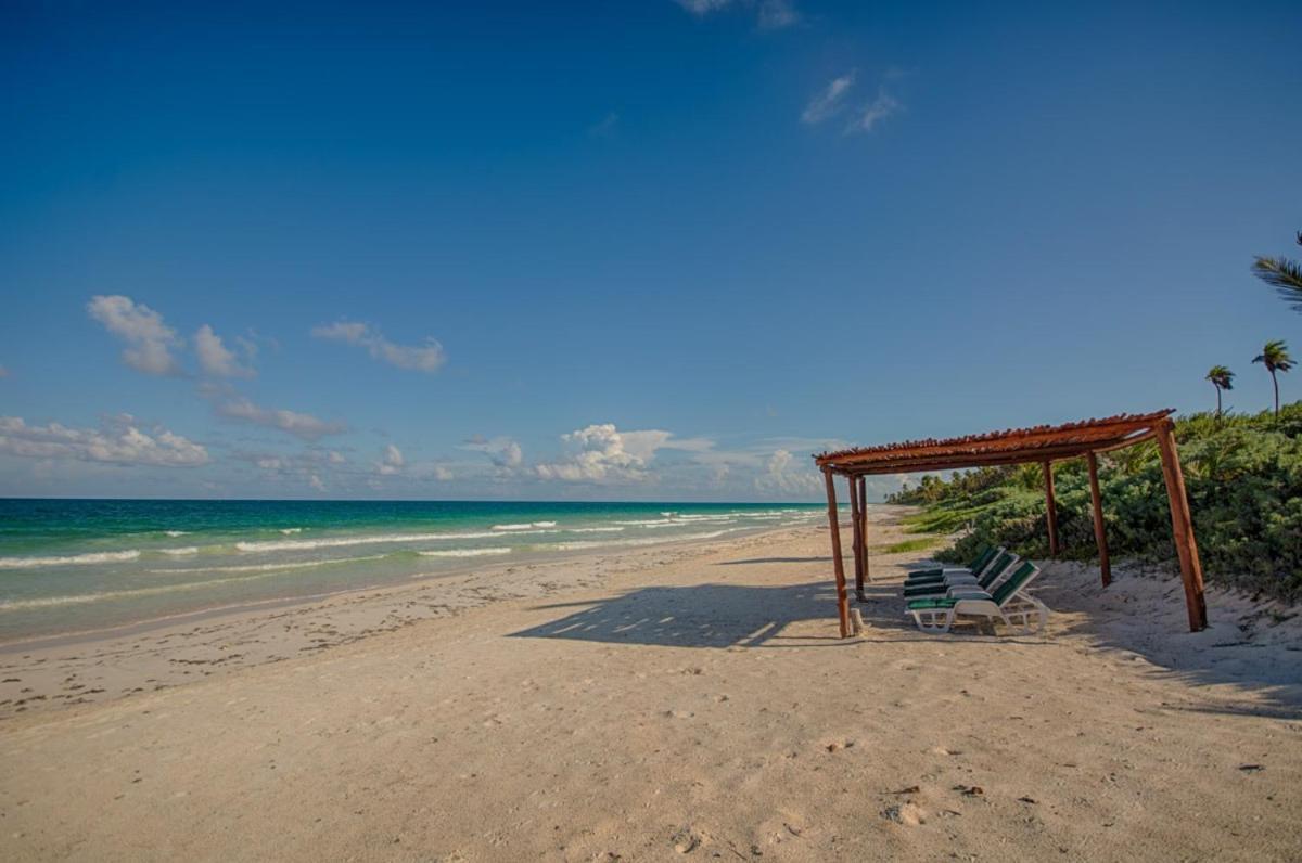 Casa Pelicanos Tulum Beach Mx - Next To Hotel Zone Eksteriør billede